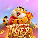 plataforma nova pagando fortune tiger ícone